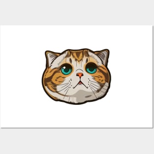 Scottish Fold Head Posters and Art